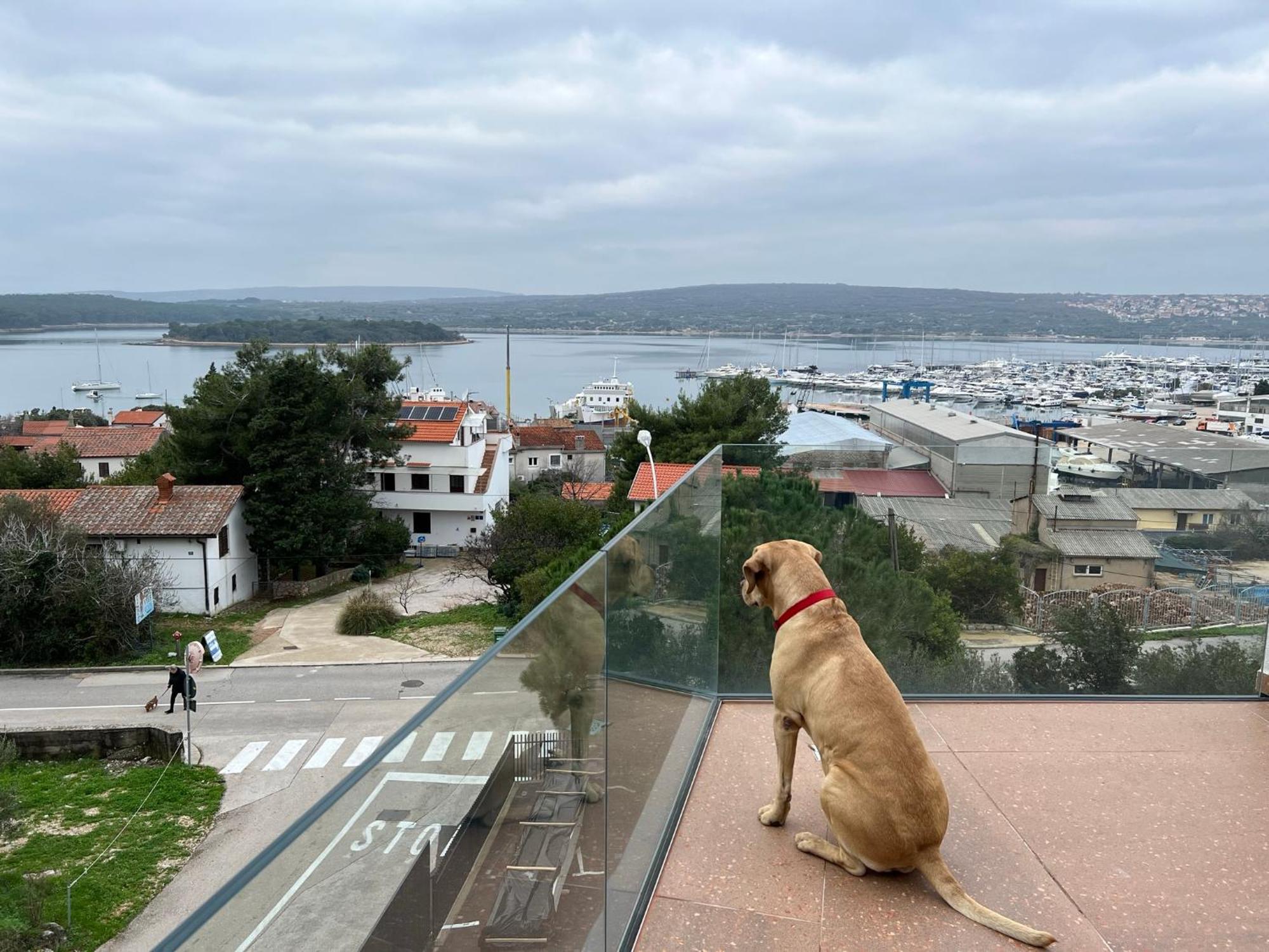 Panorama Penthouse פונאנט מראה חיצוני תמונה
