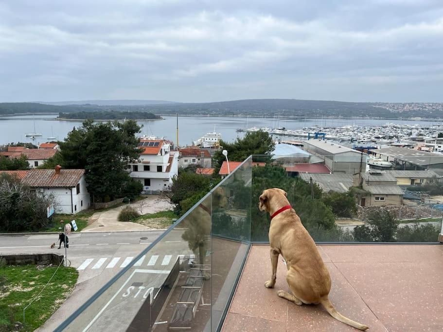 Panorama Penthouse פונאנט מראה חיצוני תמונה
